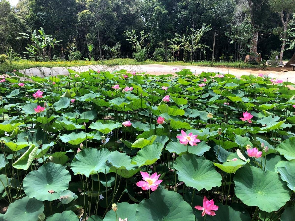 Big Mang Den Homestay Kon Von Kla 외부 사진